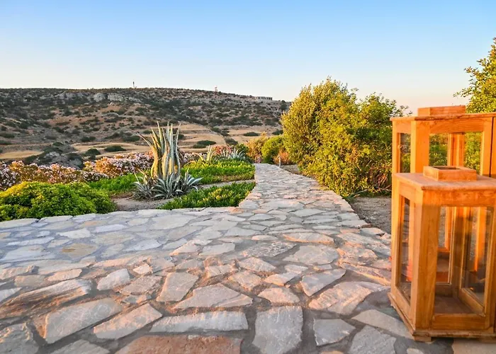 Schinoza Luxury Szhinúsza